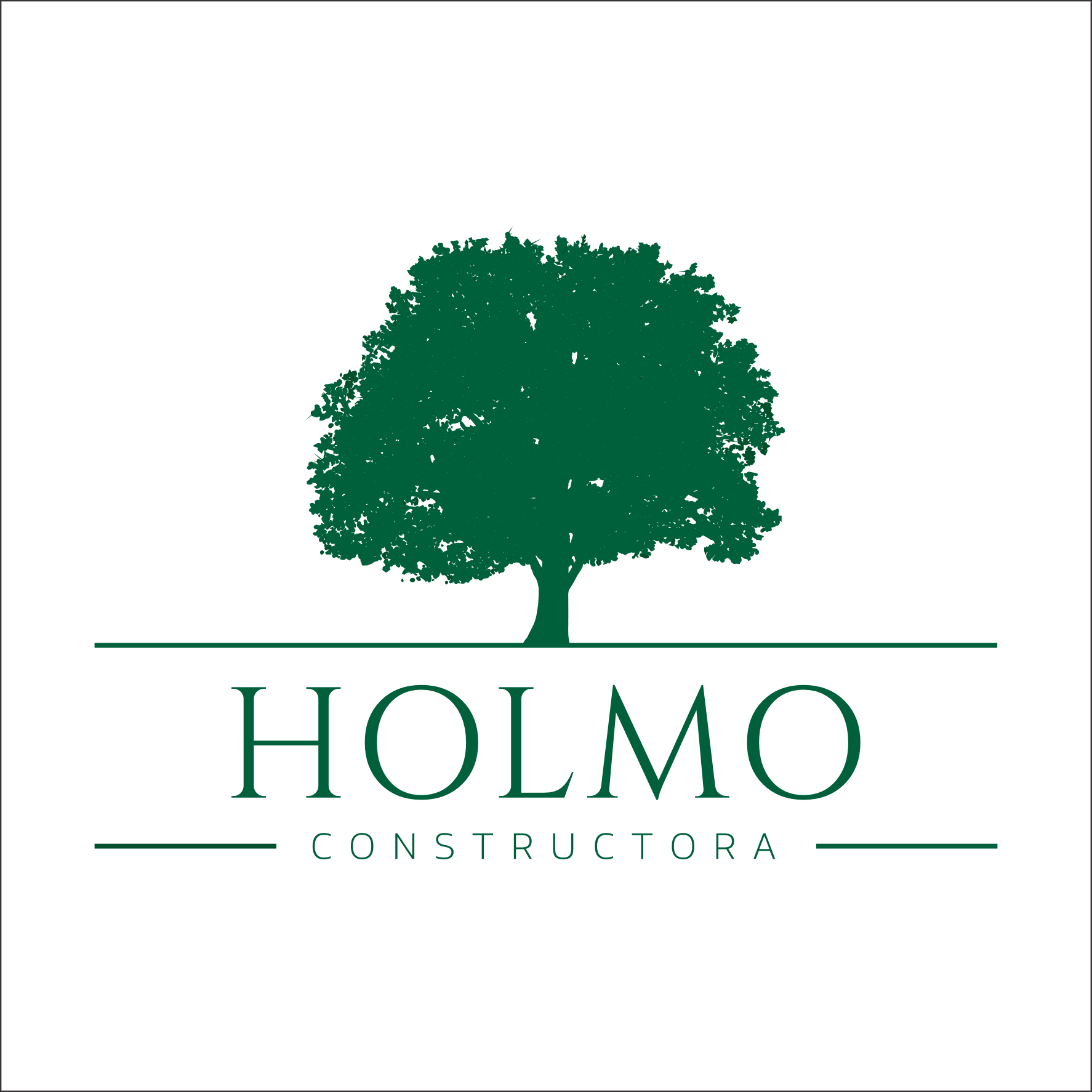Holmo Constructora
